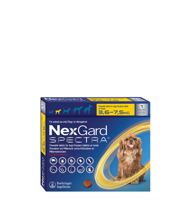 Nexgard Spectra Single Small Dog 3.67.5kg Happy Paws