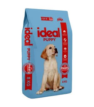 ideal puppy