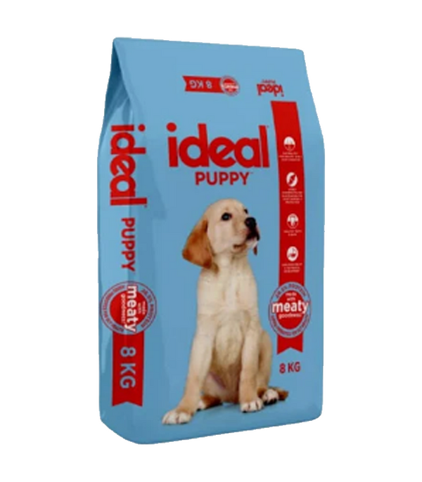 ideal puppy